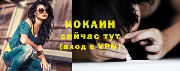 apvp Горнозаводск