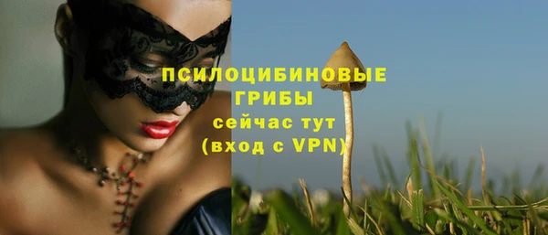 apvp Горнозаводск