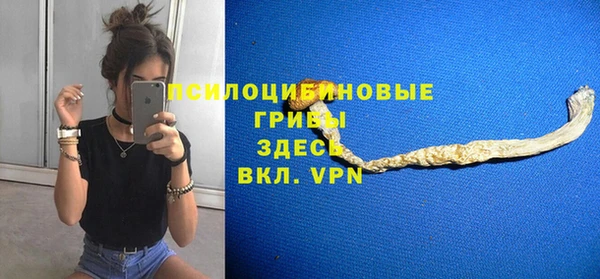 apvp Горнозаводск