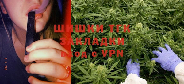 apvp Горнозаводск